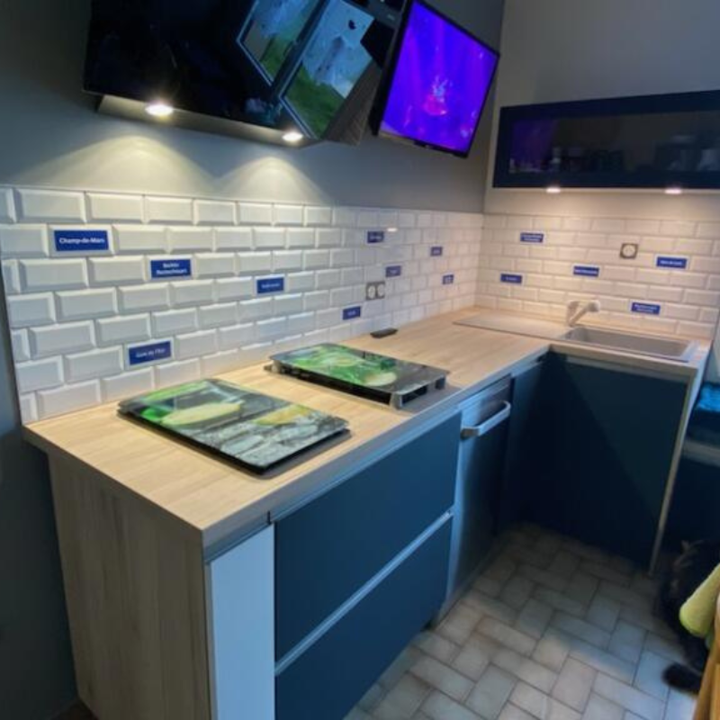 carrelage metro mur cuisine