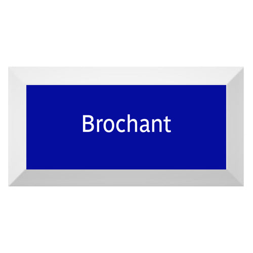 Carreau de faïence Type Métro biseauté station "Brochant"