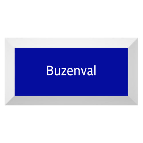 Carreau de faïence Type Métro biseauté station "Buzenval"