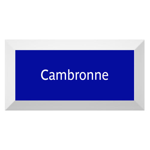 Carreau de faïence Type Métro biseauté station "Cambronne"