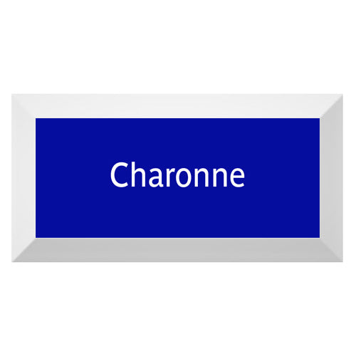 Carreau de faïence Type Métro biseauté station "Charonne"