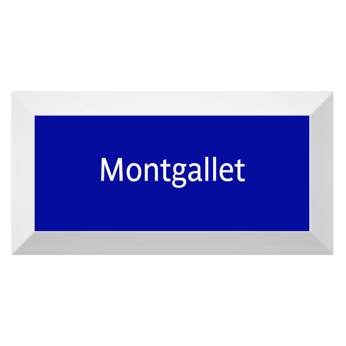 Carreau de faïence Type Métro biseauté station "Montgallet"