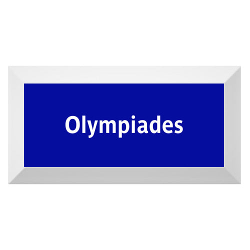 Carreau de faïence Type Métro biseauté station "Olympiades"