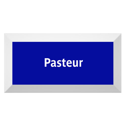 Carreau de faïence Type Métro biseauté station "Pasteur"