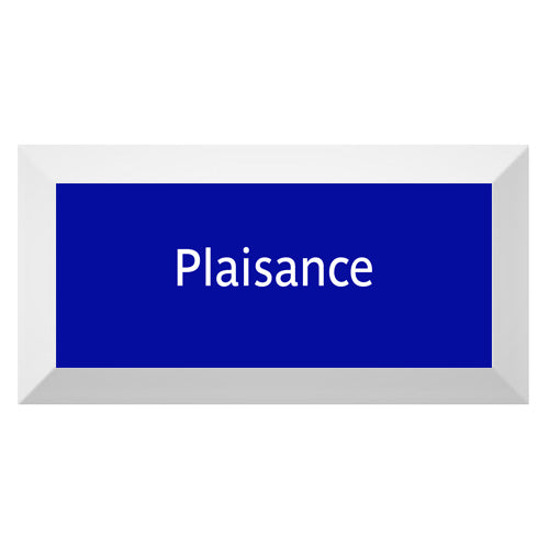 Carreau de faïence Type Métro biseauté station "Plaisance"