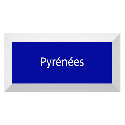 Carreau de faïence Type Métro biseauté station "Pyrénées"