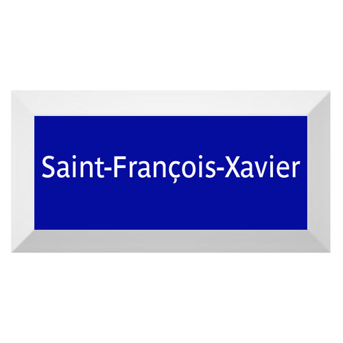 Carreau de faïence Type Métro biseauté station "Saint-François-Xavier"