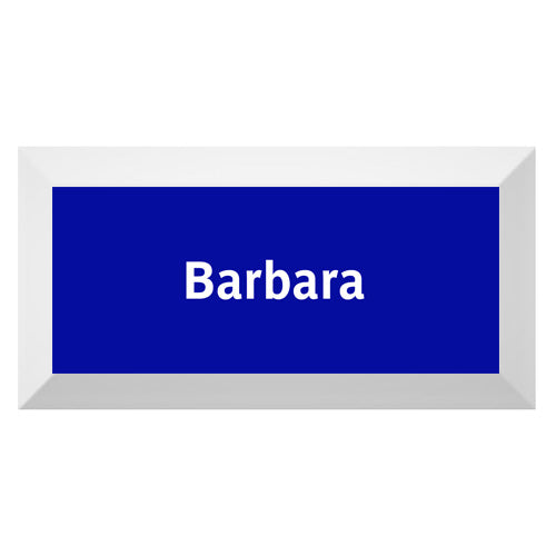 Carreau de faïence Type Métro biseauté station "Barbara"