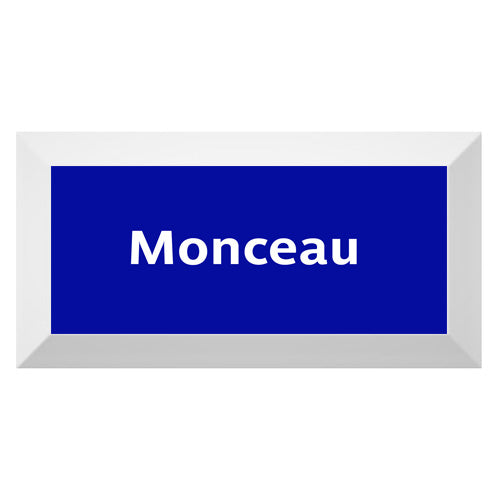 Carreau de faïence Type Métro biseauté station "Monceau"
