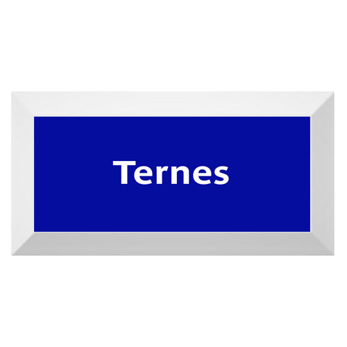 Carreau de faïence Type Métro biseauté station "Ternes"
