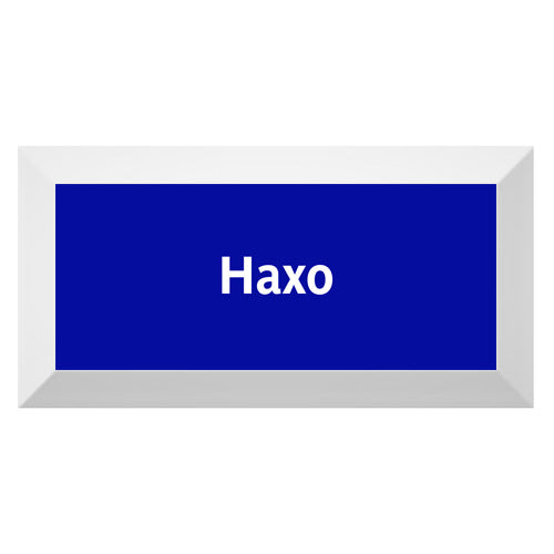 Carreau de faïence Type Métro biseauté station fantôme "Haxo"