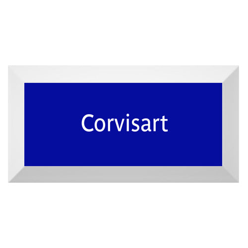 Carreau de faïence Type Métro biseauté station "Corvisart"