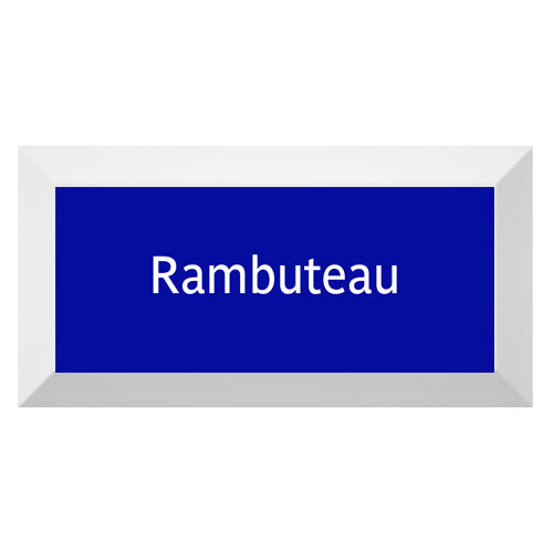 Carreau de faïence Type Métro biseauté station "Rambuteau"